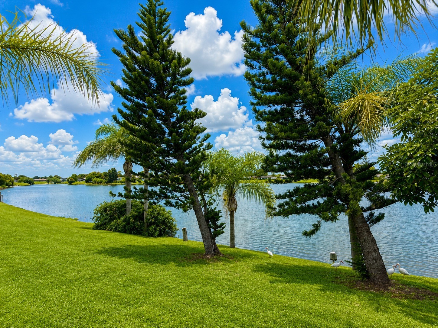 2209 Aaron Street Port Charlotte FL 33952 - LAKE SUNSHINE C7528476 image8