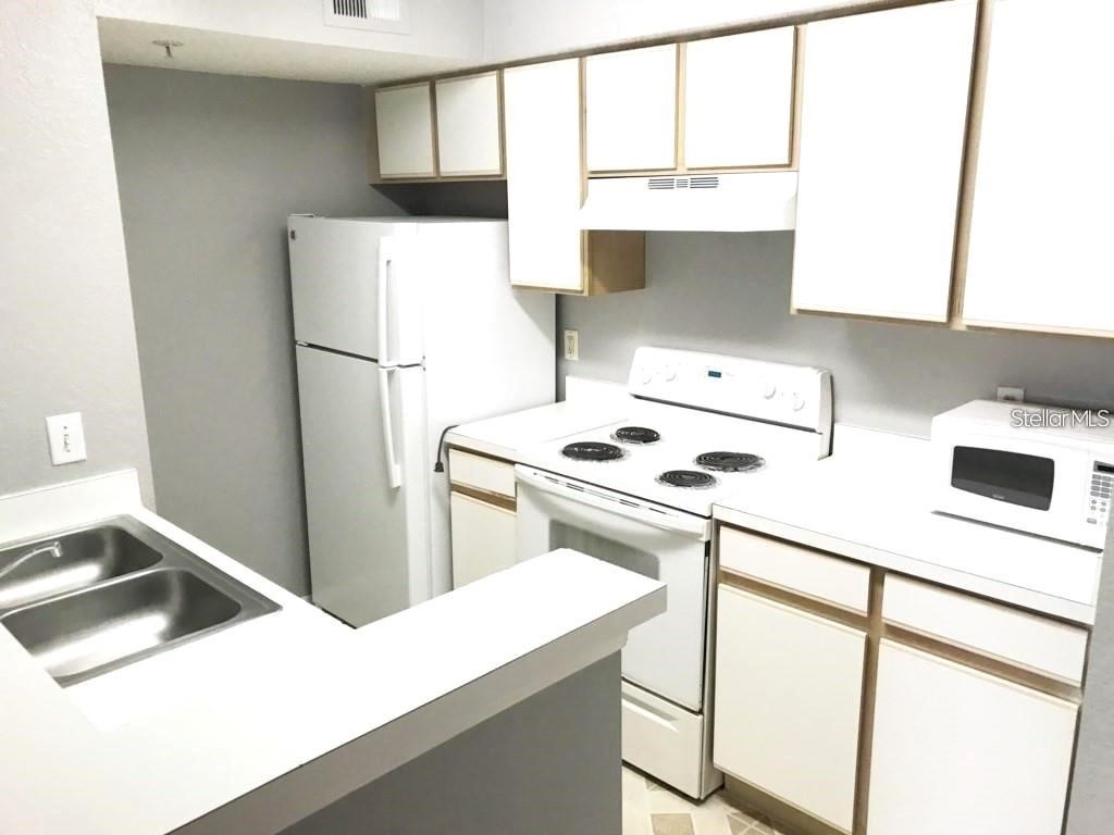 2209 Antigua Place #827 Kissimmee FL 34741 G5101876 image3