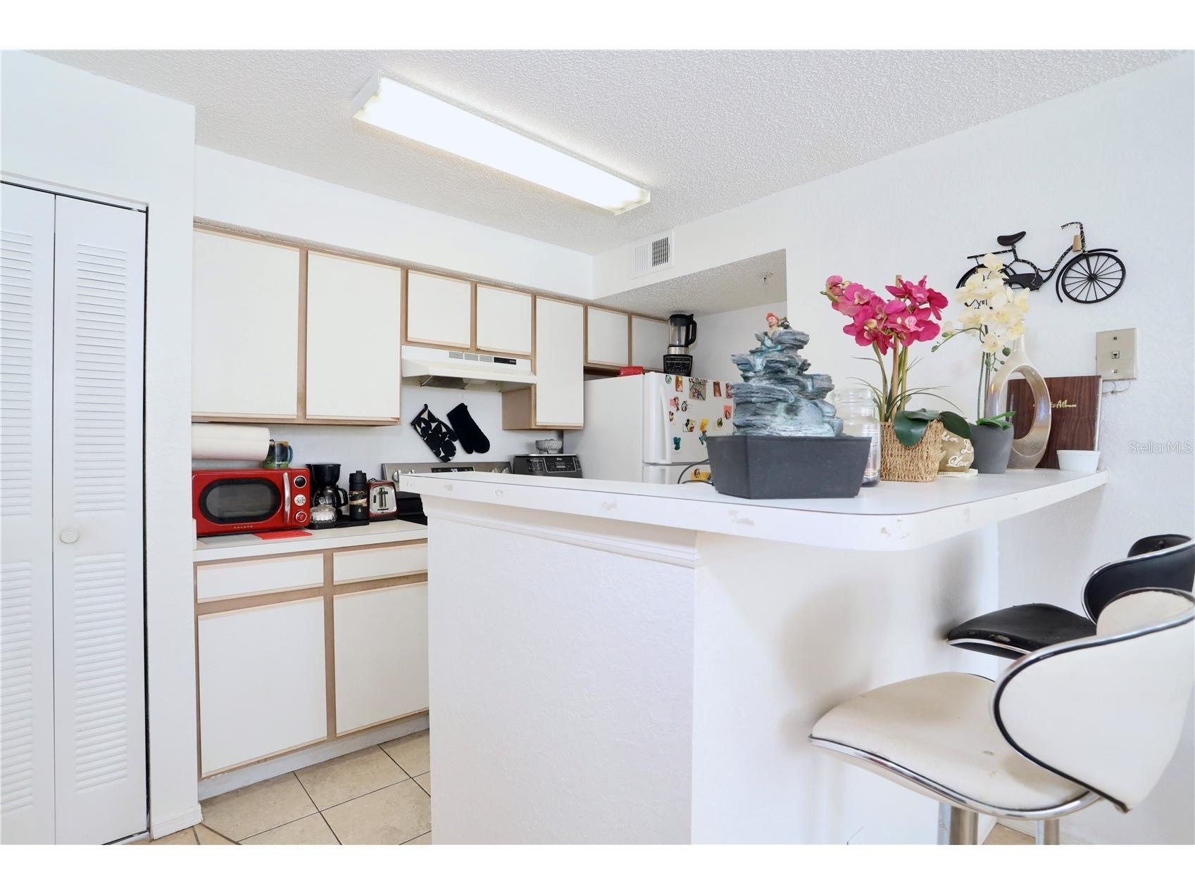 2209 Antigua Place #828 Kissimmee FL 34741 S5153258 image2