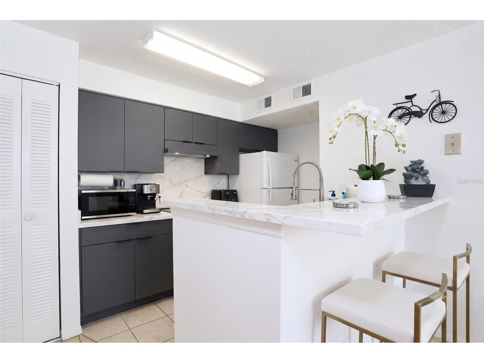 2209 Antigua Place #828 Kissimmee FL 34741 S5153258 image3