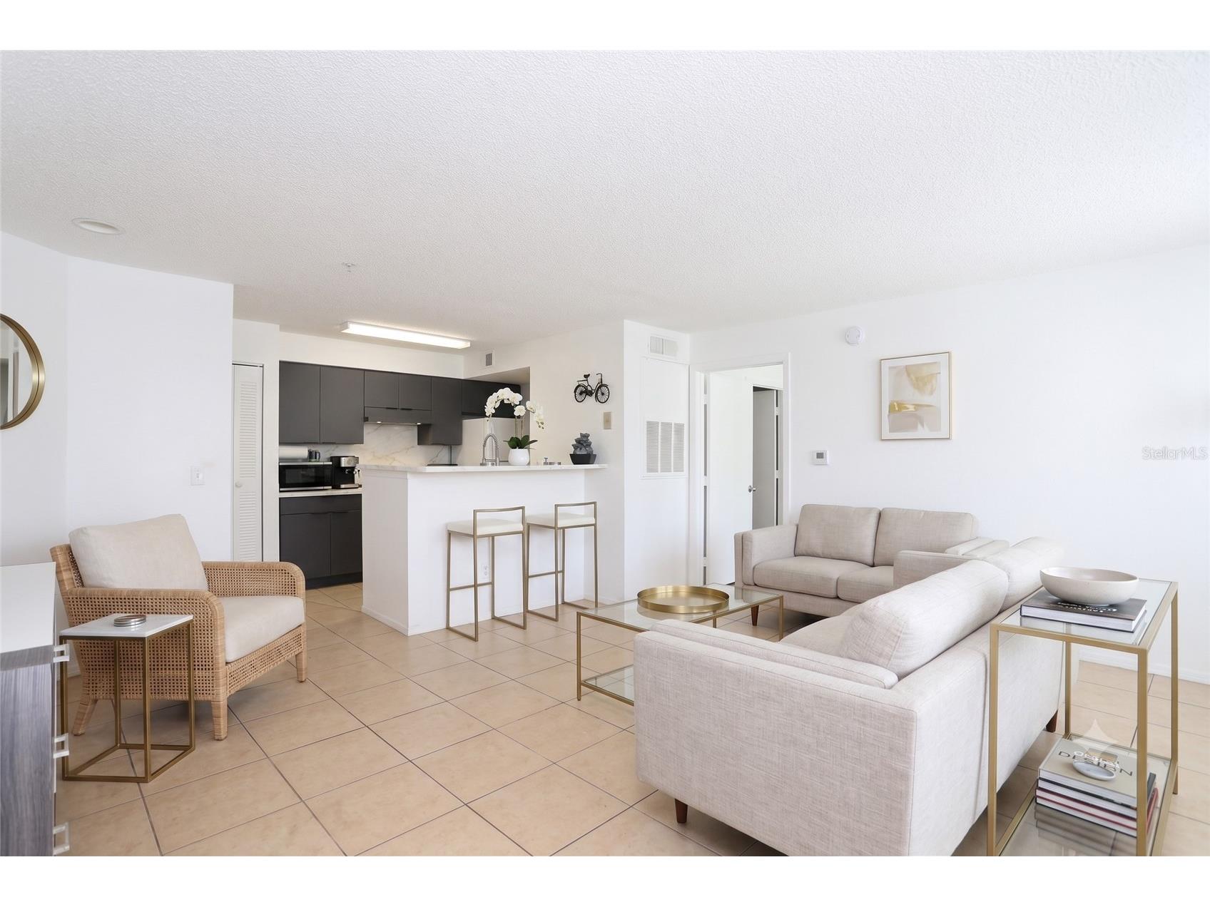2209 Antigua Place #828 Kissimmee FL 34741 S5153258 image6