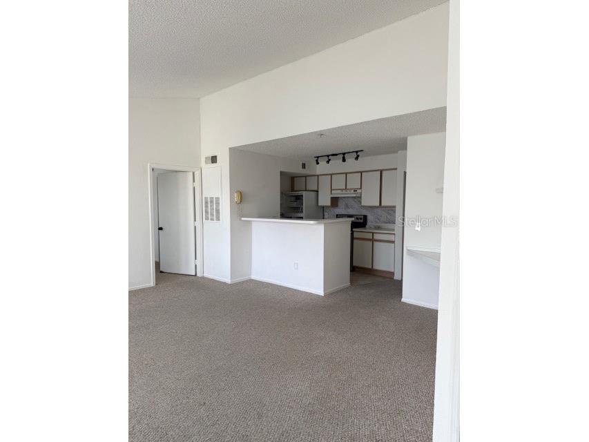 2209 Antigua Place #837 Kissimmee FL 34741 O6352532 image7