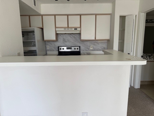 2209 Antigua Place #837 Kissimmee FL 34741 O6352532 image8