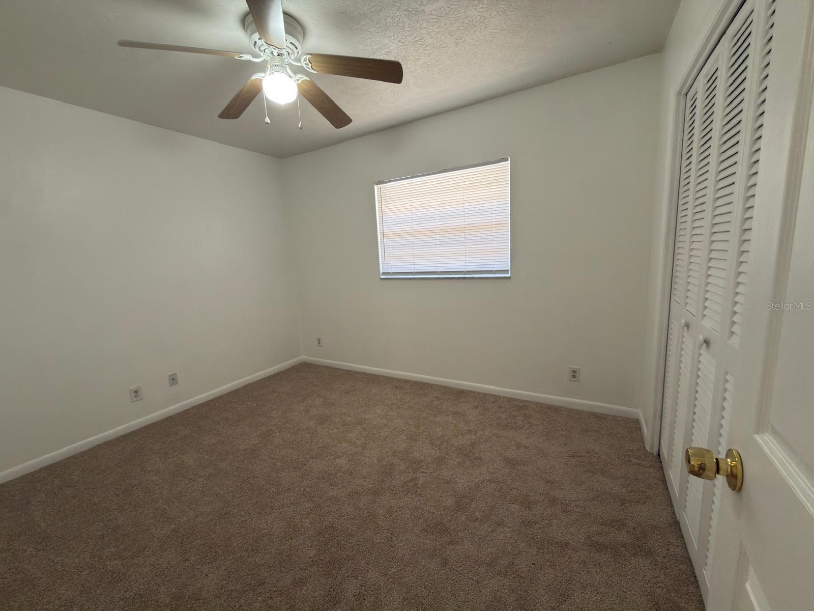 2209 Boxwood Way Brandon FL 33511 TB8513148 image15