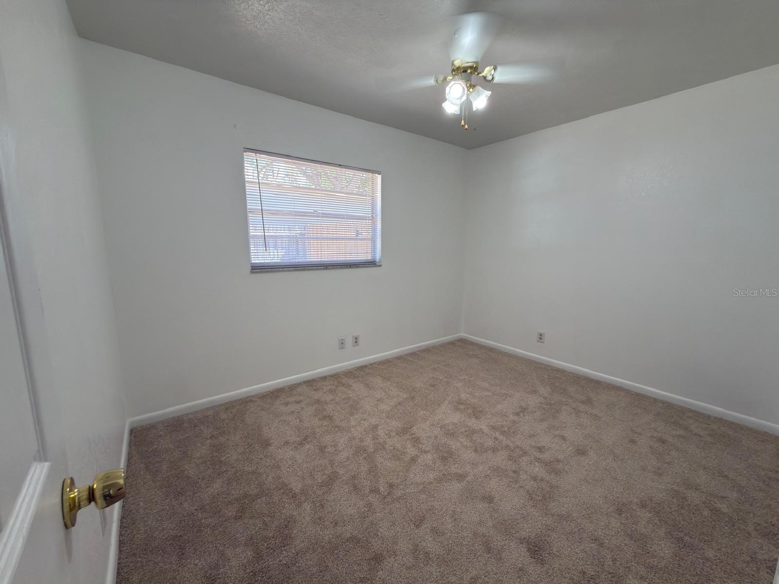 2209 Boxwood Way Brandon FL 33511 TB8513148 image16