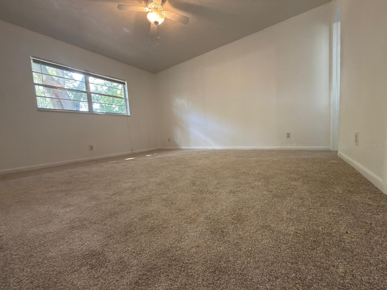 2209 Boxwood Way Brandon FL 33511 TB8513148 image8
