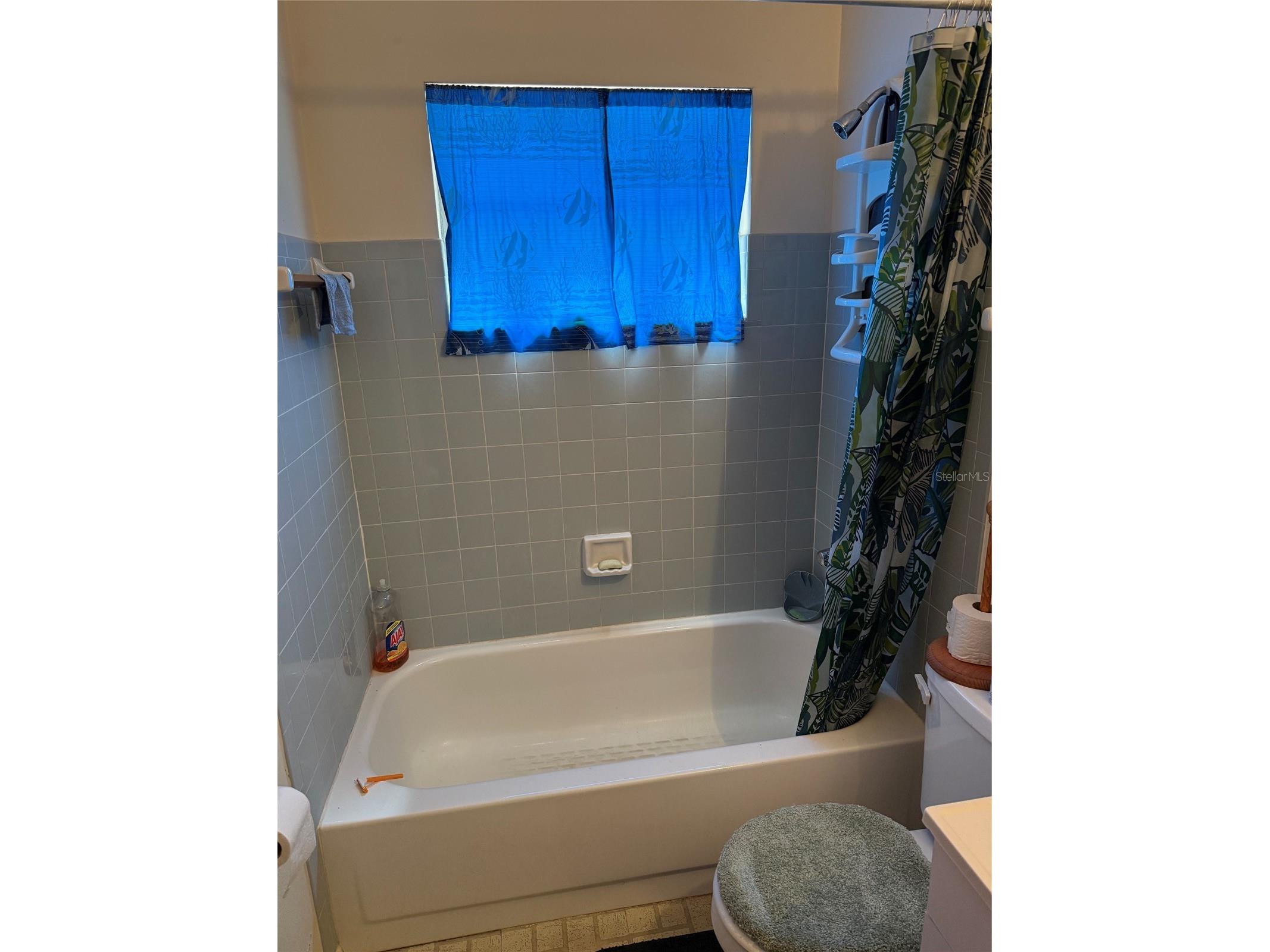 2209 E 18th Avenue Tampa FL 33605 TB8509033 image11