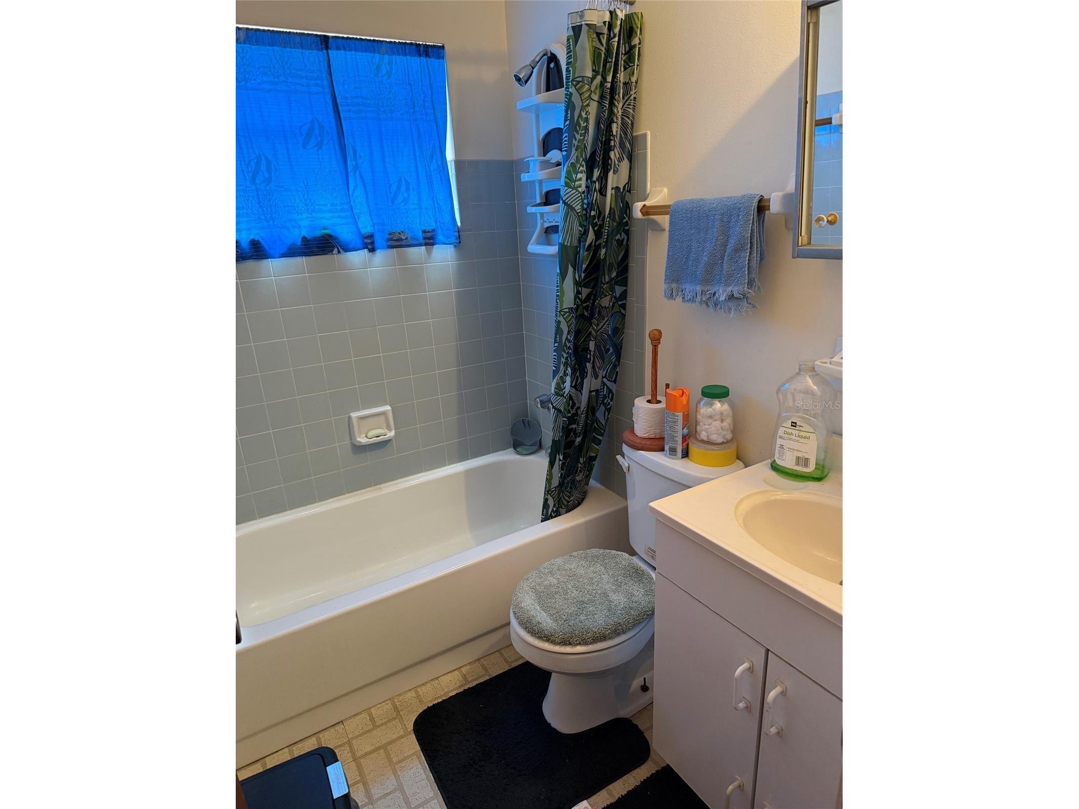 2209 E 18th Avenue Tampa FL 33605 TB8509033 image12