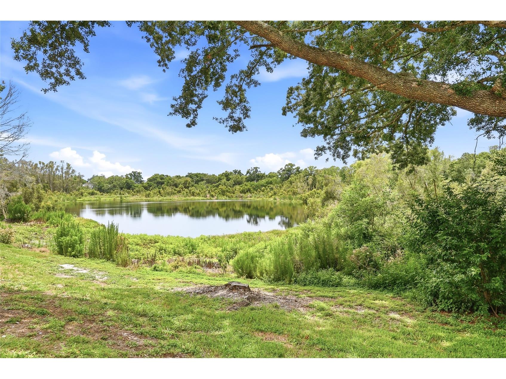 2209 Fletchers Point Circle Tampa FL 33613 TB8518954 image37
