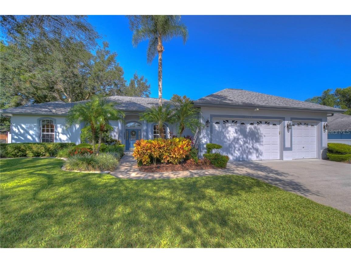 2209 Glen Mist Drive Valrico FL 33594 T3471138 image1