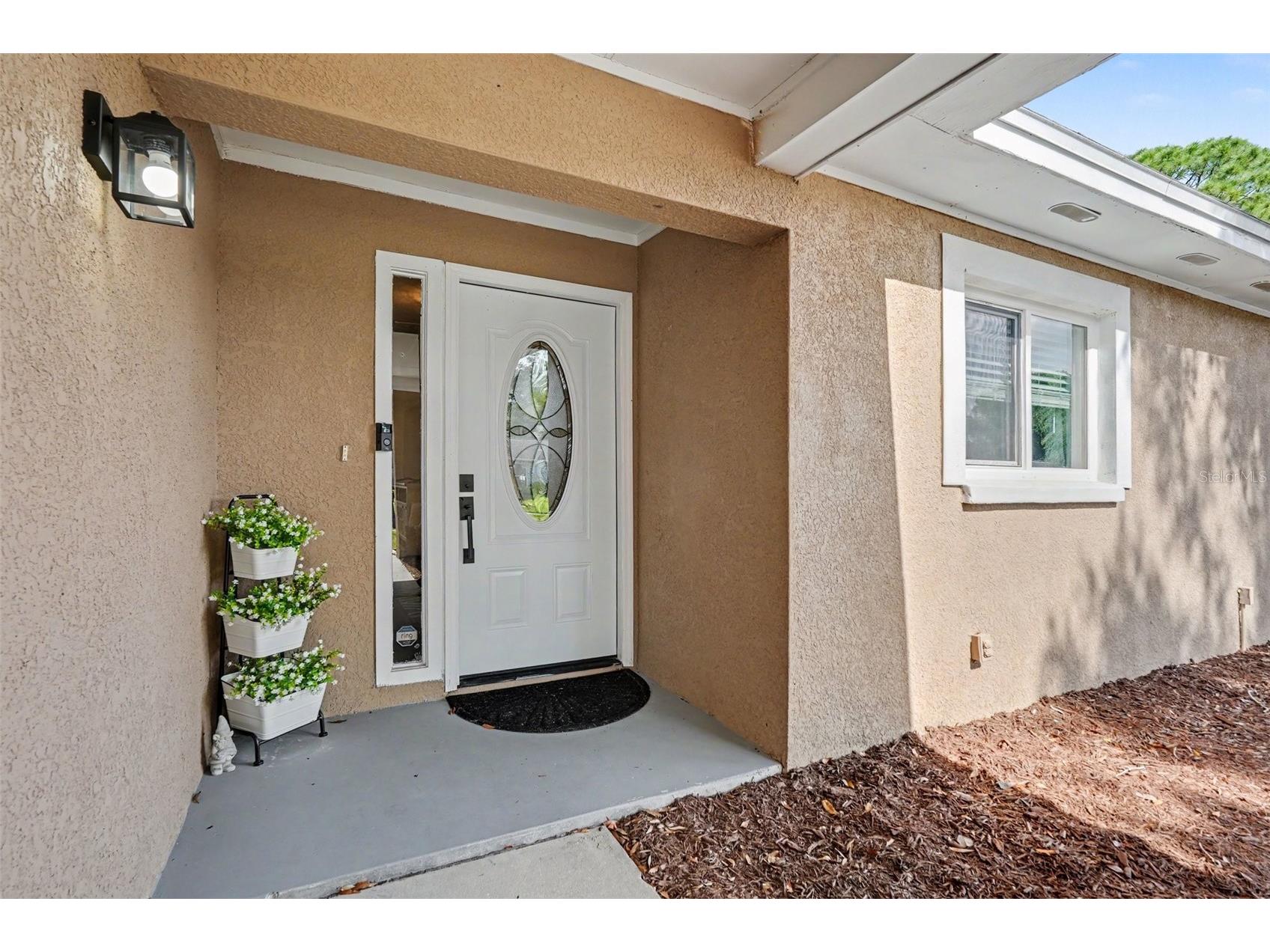 2209 Sherbrook Drive Valrico FL 33594 TB8505806 image5