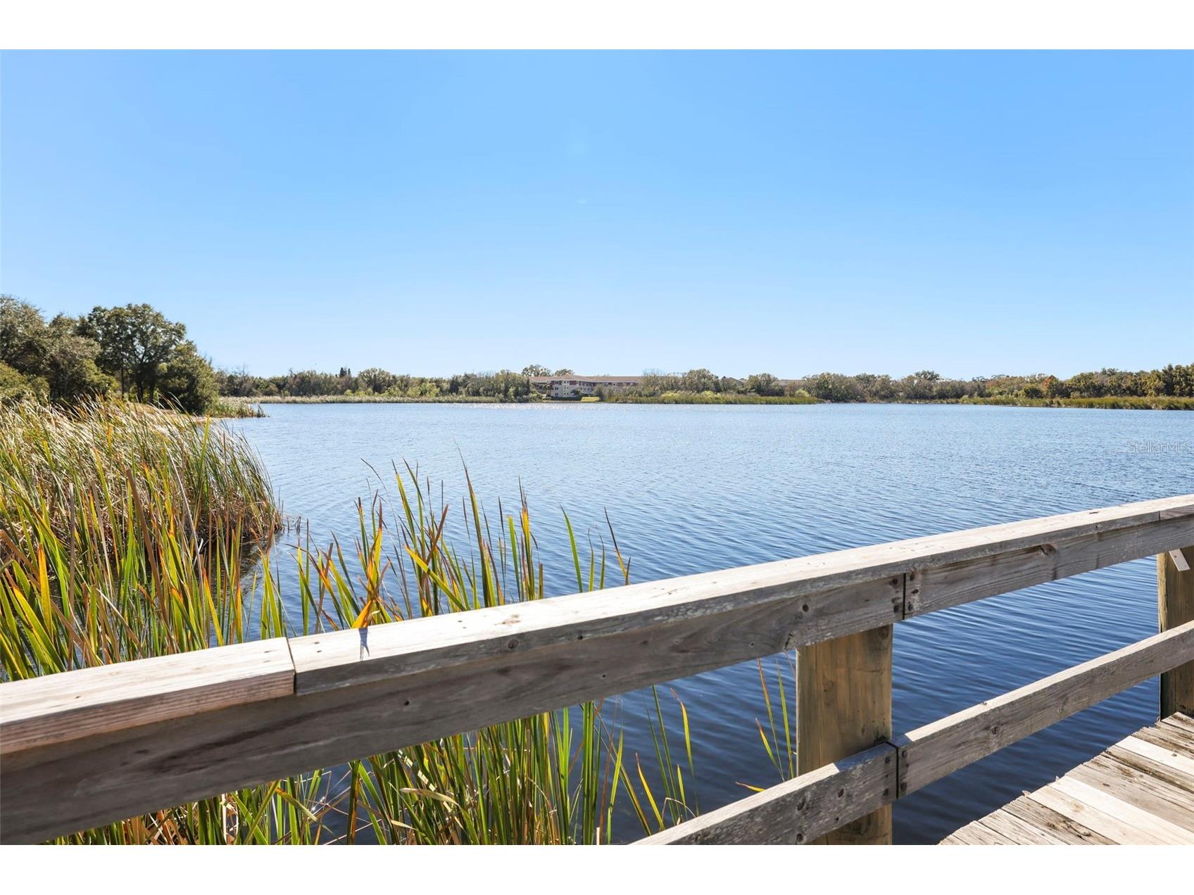 2209 Utopian Drive E #117 Clearwater FL 33763 TB8479205 image38