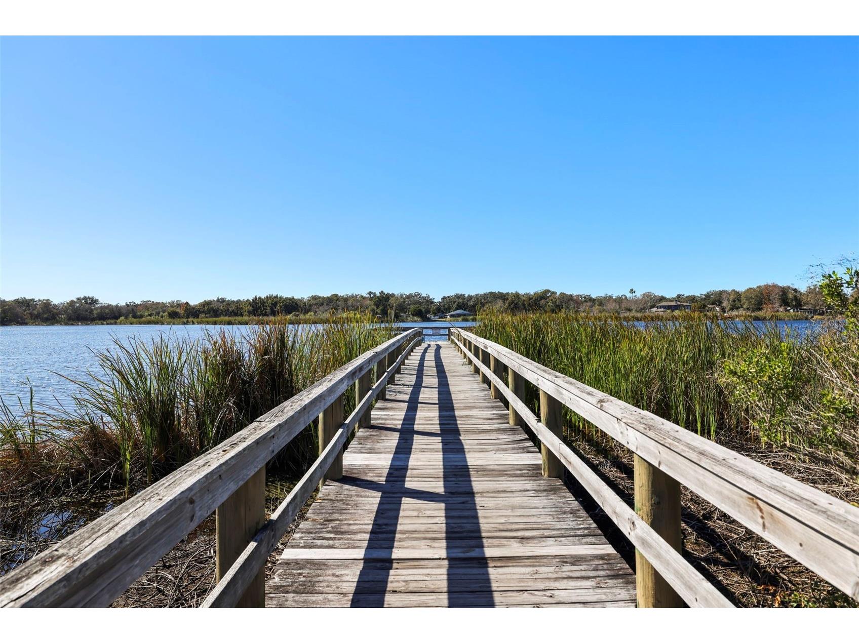 2209 Utopian Drive E #117 Clearwater FL 33763 TB8479205 image39