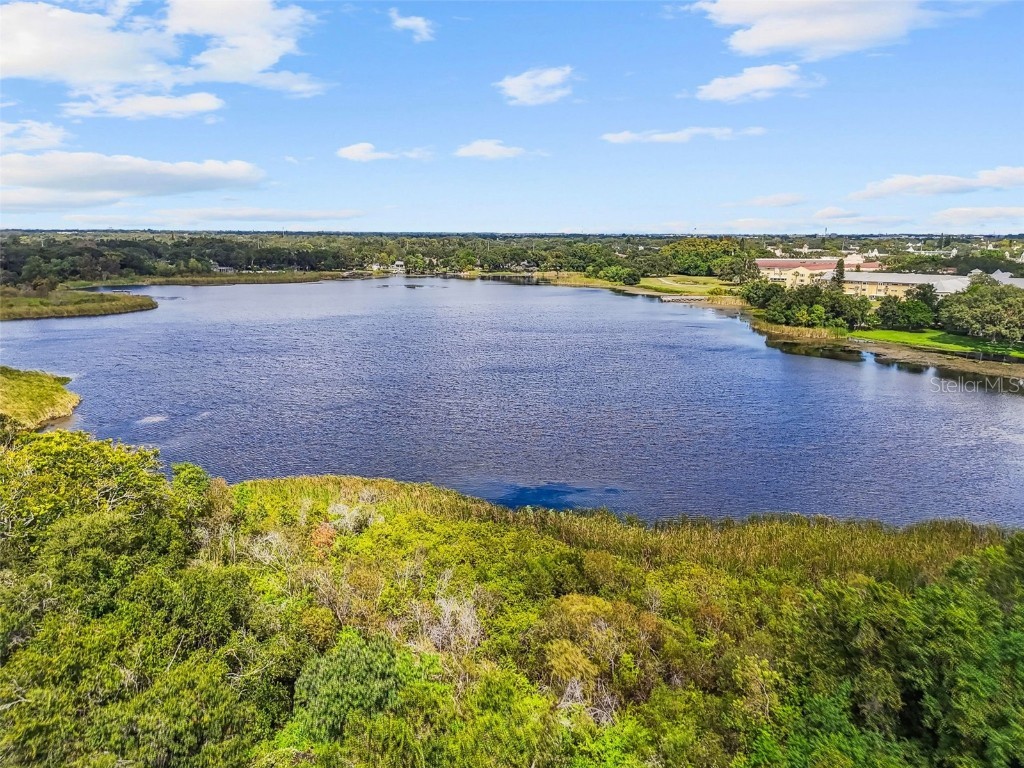 2209 Utopian Drive E #307 Clearwater FL 33763 TB8435982 image37