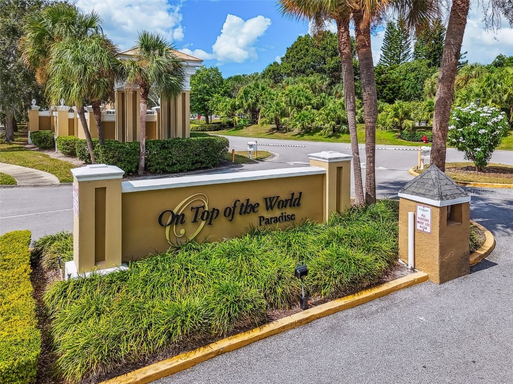 2209 Utopian Drive E #307 Clearwater FL 33763 TB8435982 image39
