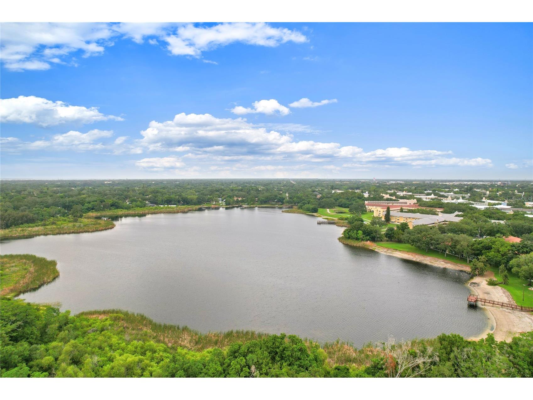 2209 Utopian Drive E #307 Clearwater FL 33763 TB8515658 image4