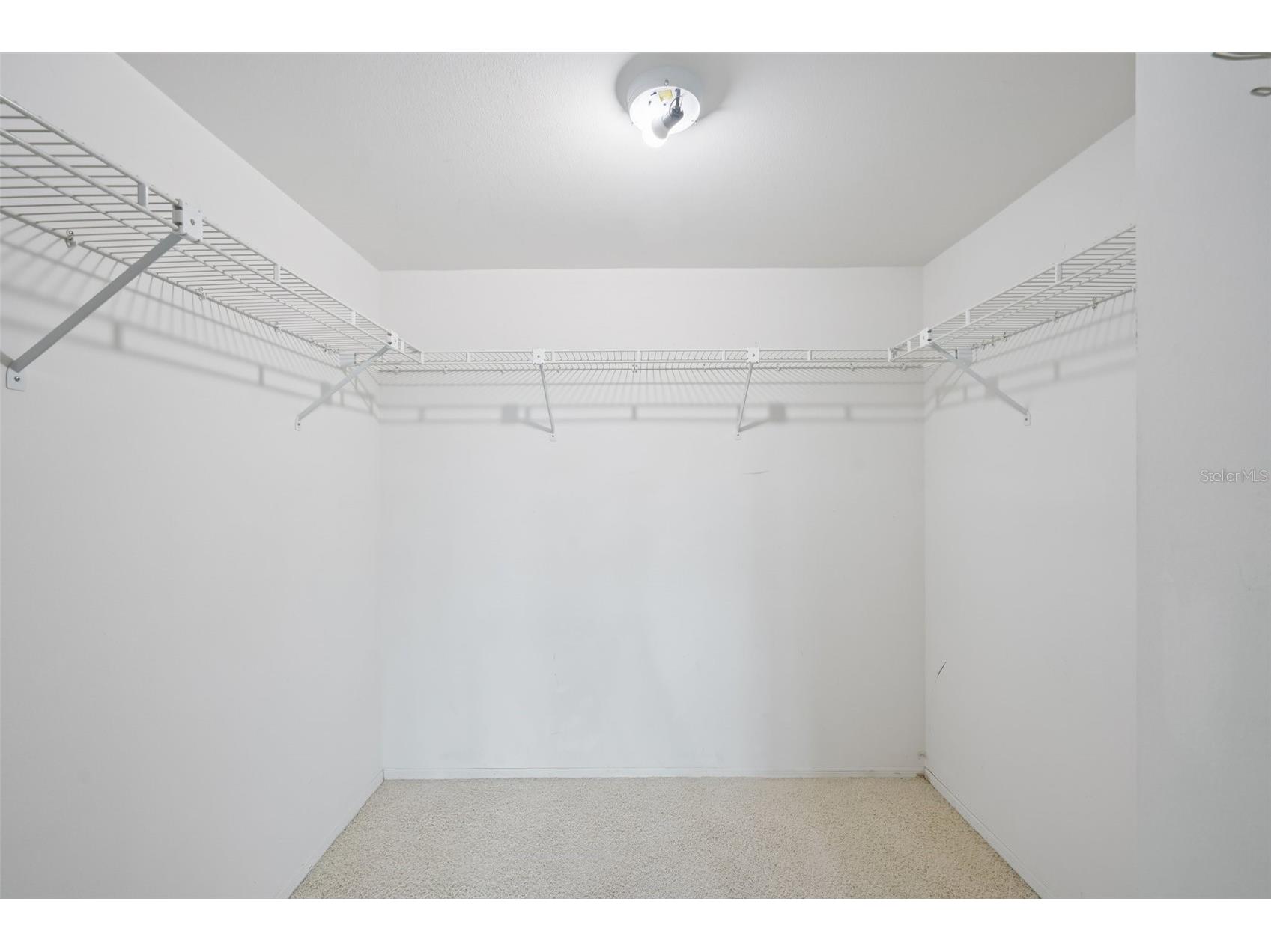 2209 Utopian Drive E #317 Clearwater FL 33763 TB8454294 image23