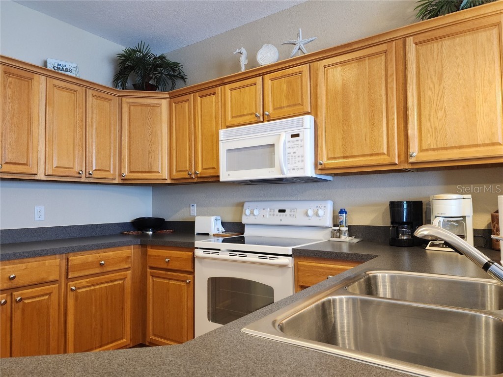 221 3rd Avenue E #F-102 Horseshoe Beach FL 32648 W7867769 image10