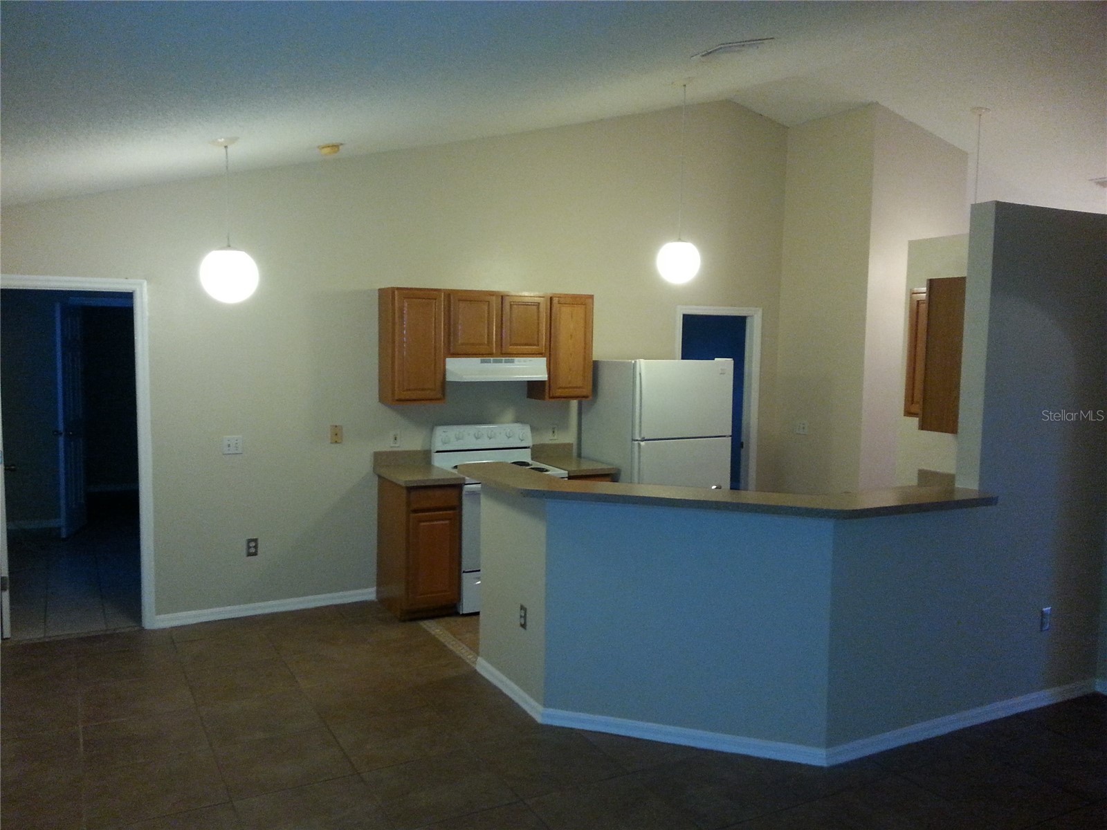 221 Cobalt Drive Kissimmee FL 34758 S5149458 image11
