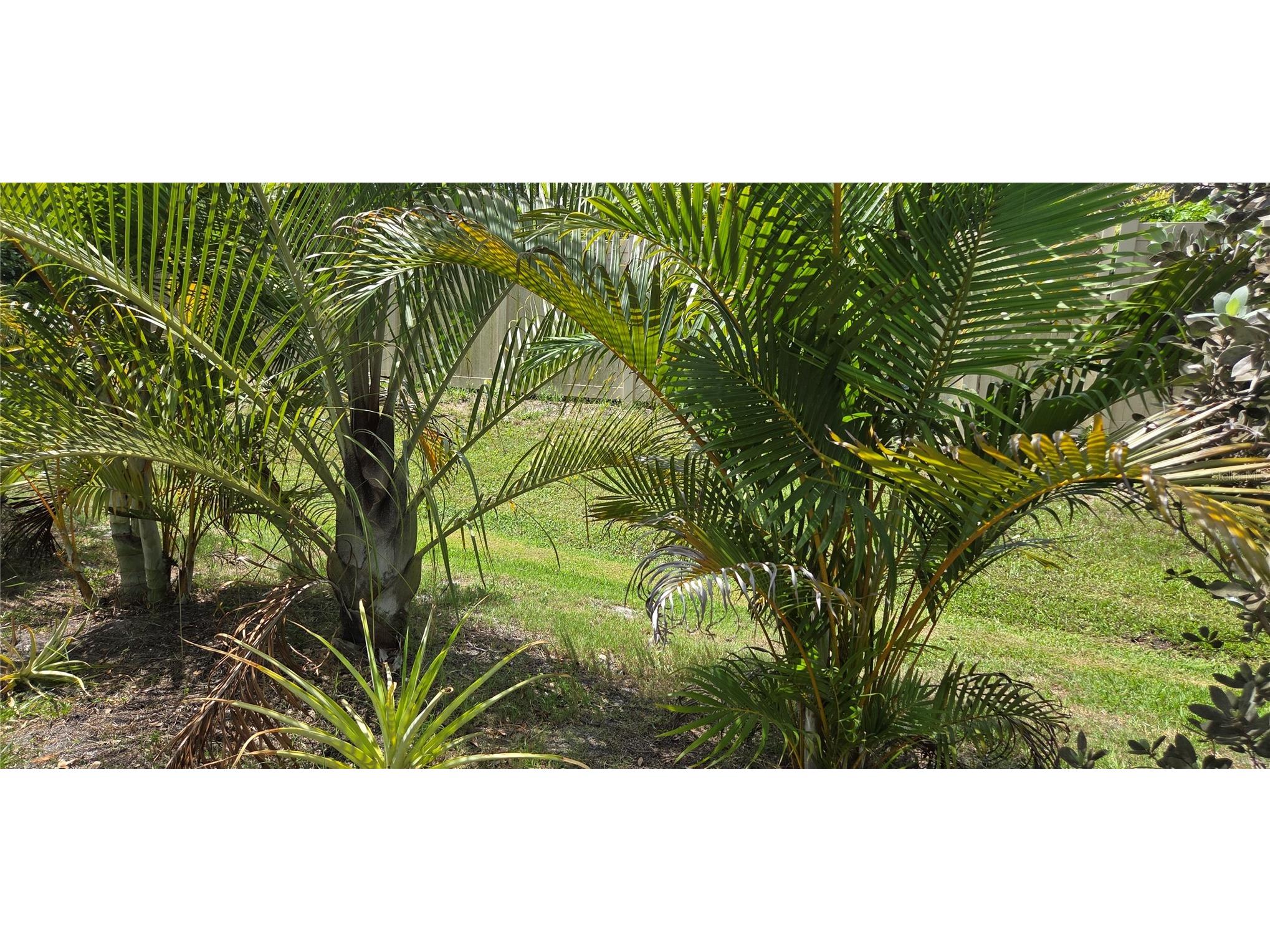 221 Dade Avenue Sarasota FL 34232 A4696280 image7