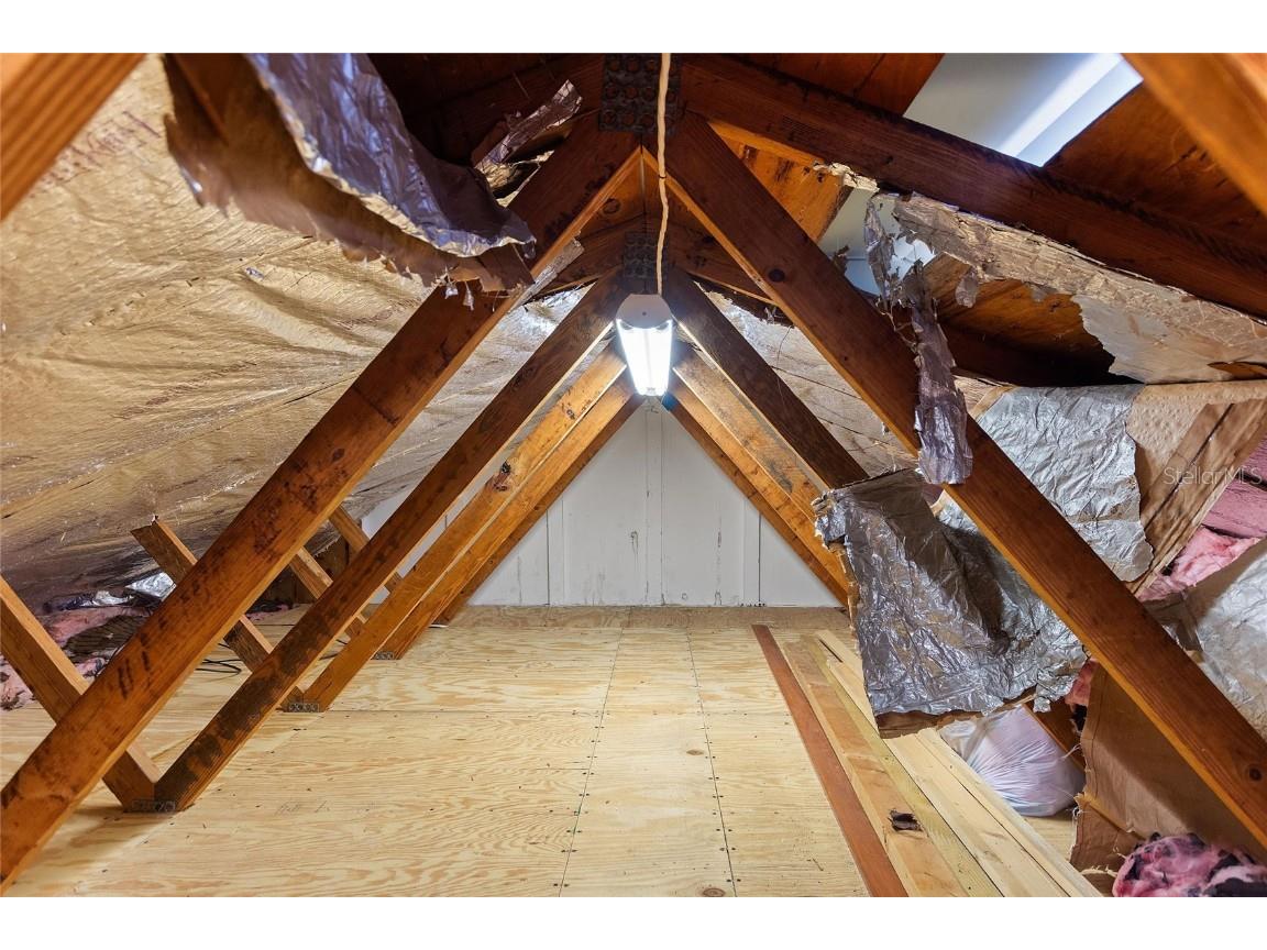 221 Dorothy Street Auburndale FL 33823 P4936960 image33