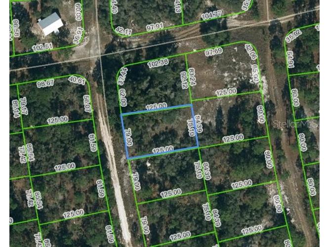 221 Fascination Drive Lake Placid FL 33852 OM623435 image1