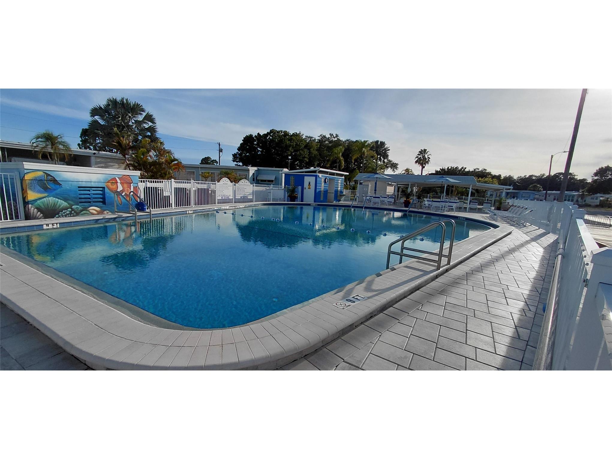 221 Heron Road Clearwater FL 33764 TB8514529 image41