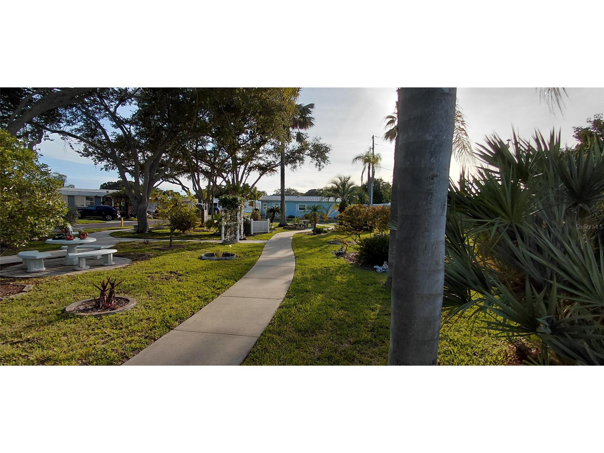 221 Heron Road Clearwater FL 33764 TB8514529 image44