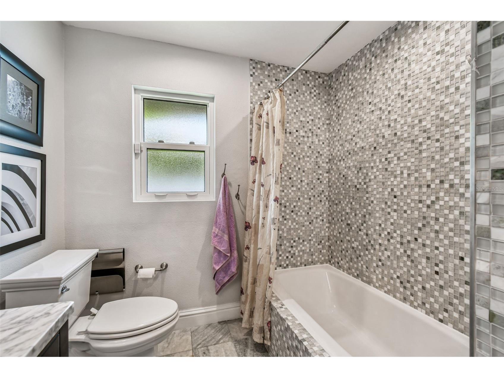 221 Howard Drive Belleair Beach FL 33786 - INTERCOASTAL TB8489096 image68