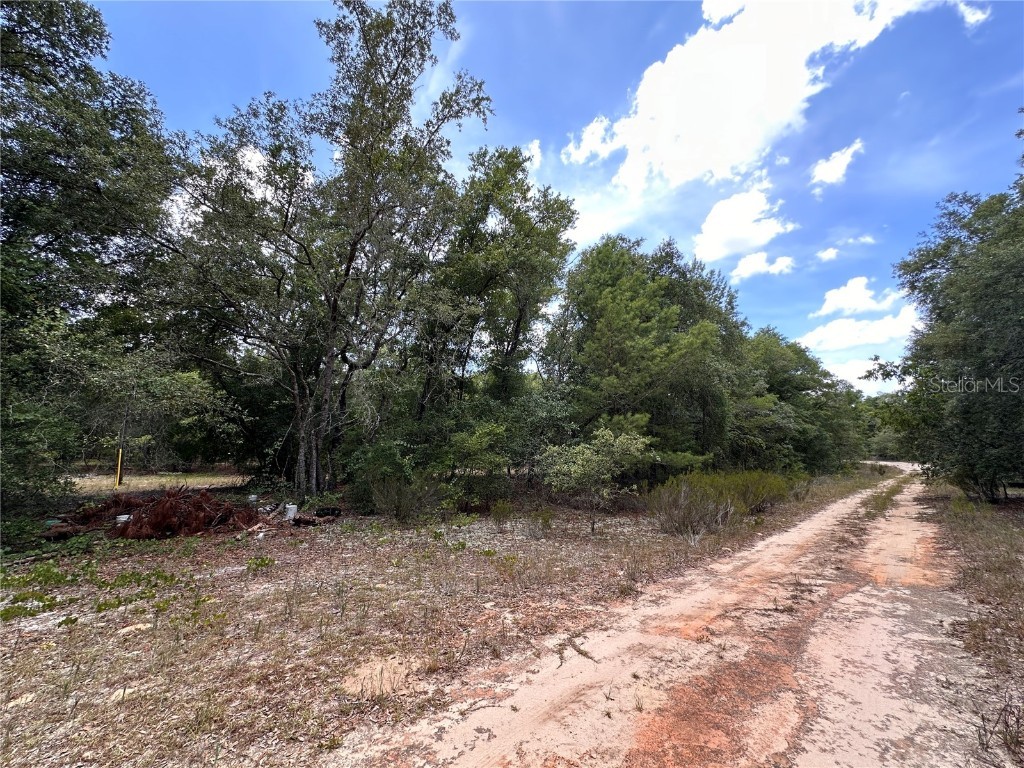 221 Indianapolis Street Hawthorne FL 32640 GC523022 image1