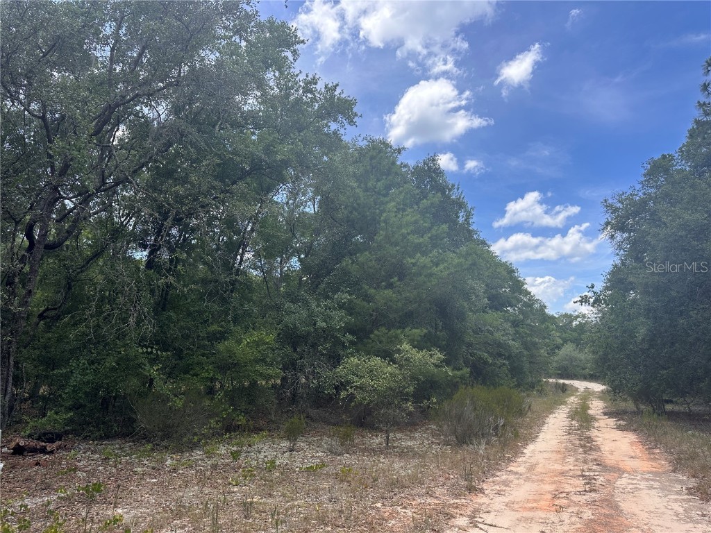 221 Indianapolis Street Hawthorne FL 32640 GC523022 image2