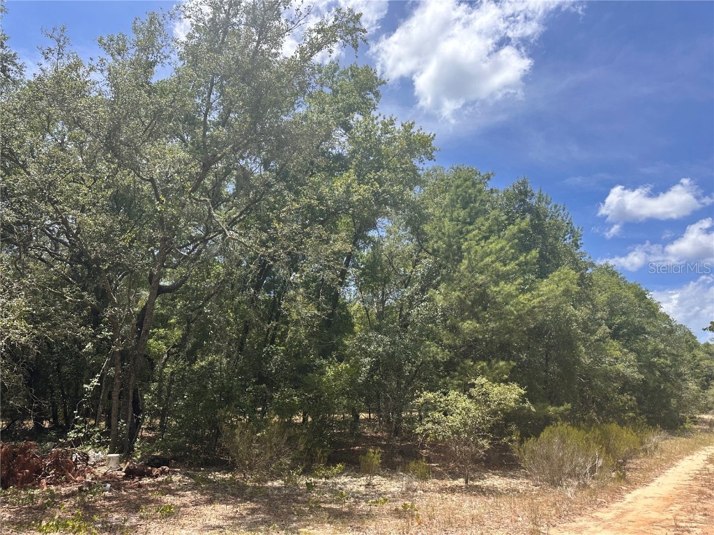 221 Indianapolis Street Hawthorne FL 32640 GC523022 image3