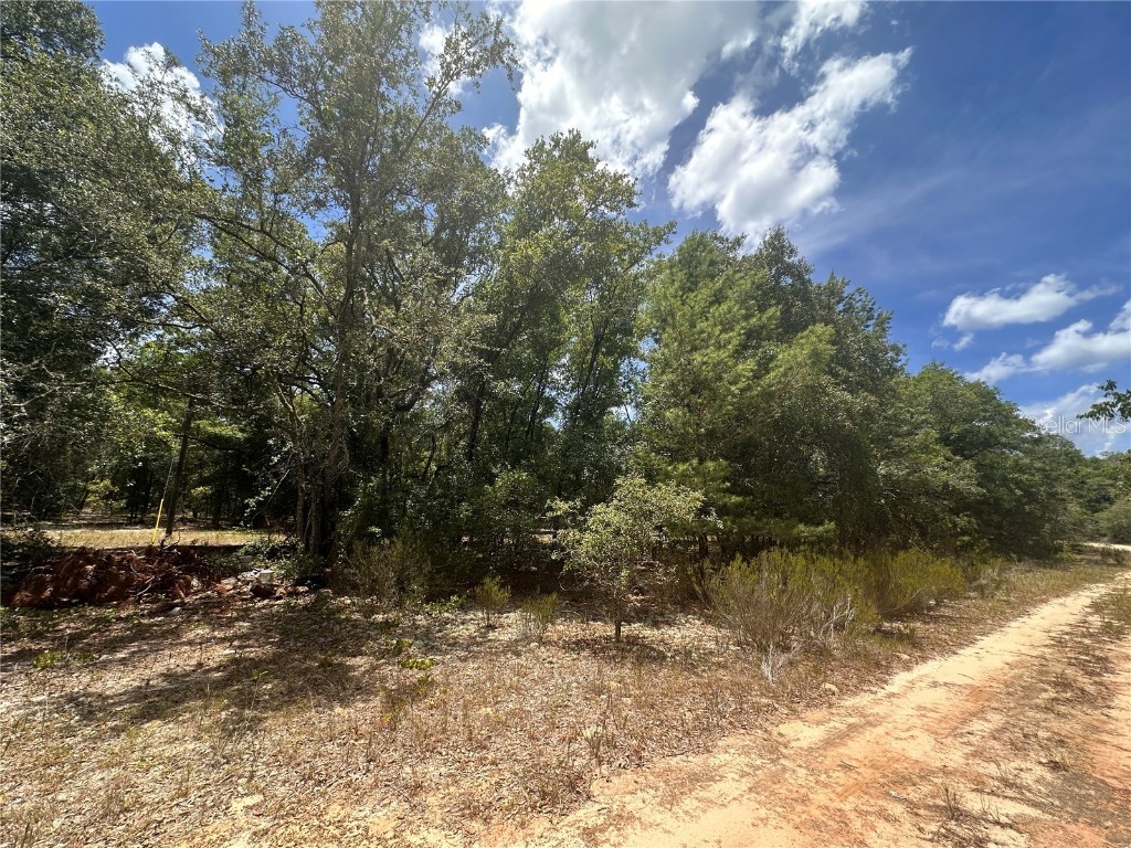 221 Indianapolis Street Hawthorne FL 32640 GC523022 image4