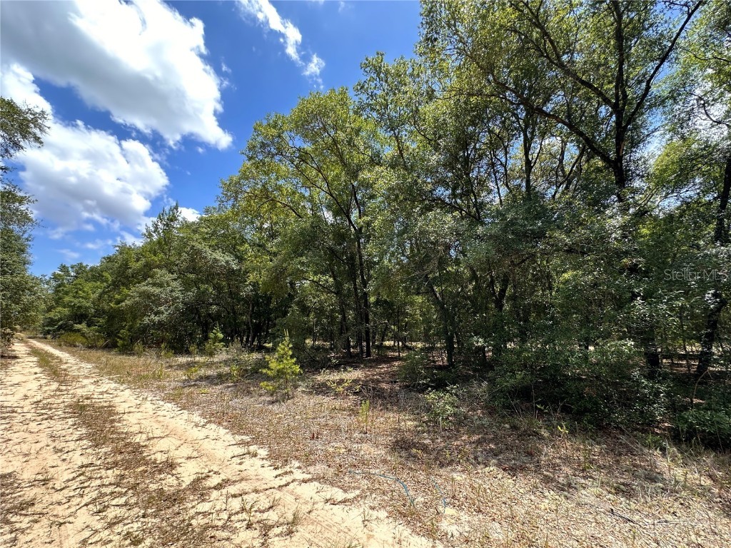 221 Indianapolis Street Hawthorne FL 32640 GC523022 image6