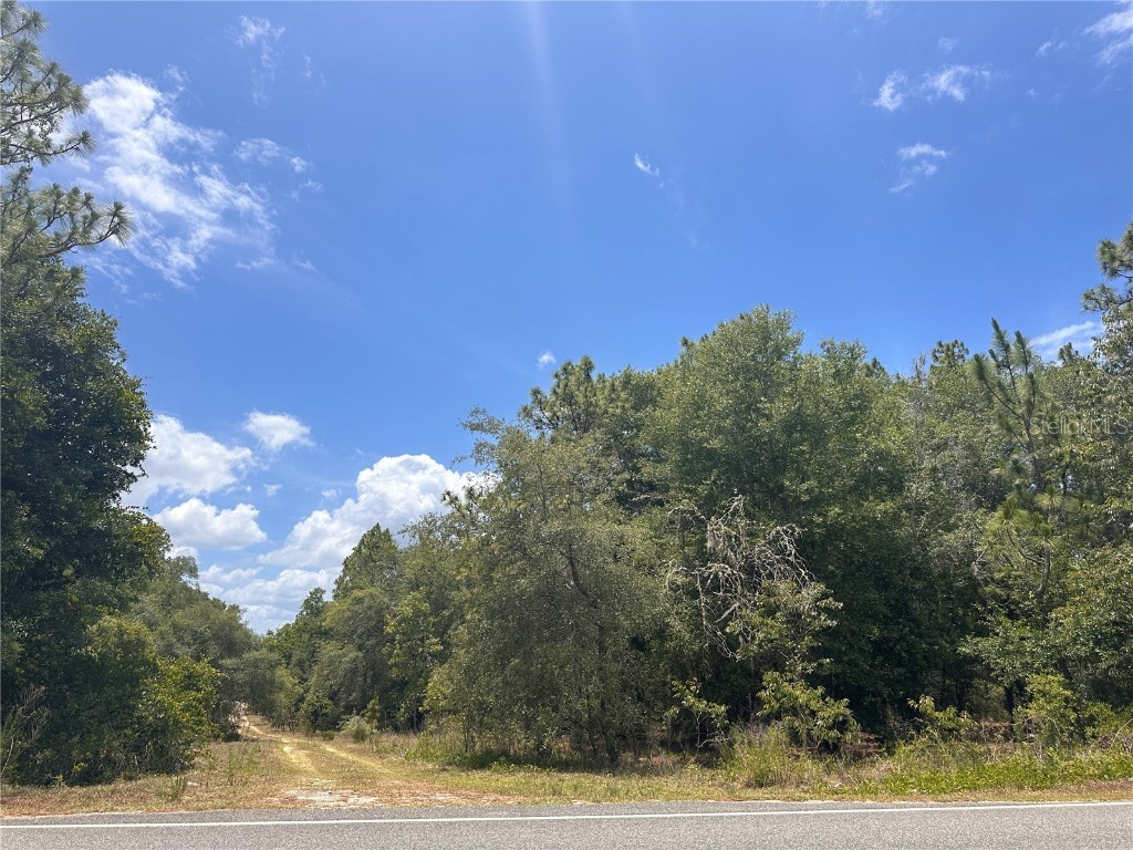 221 Indianapolis Street Hawthorne FL 32640 GC523022 image7