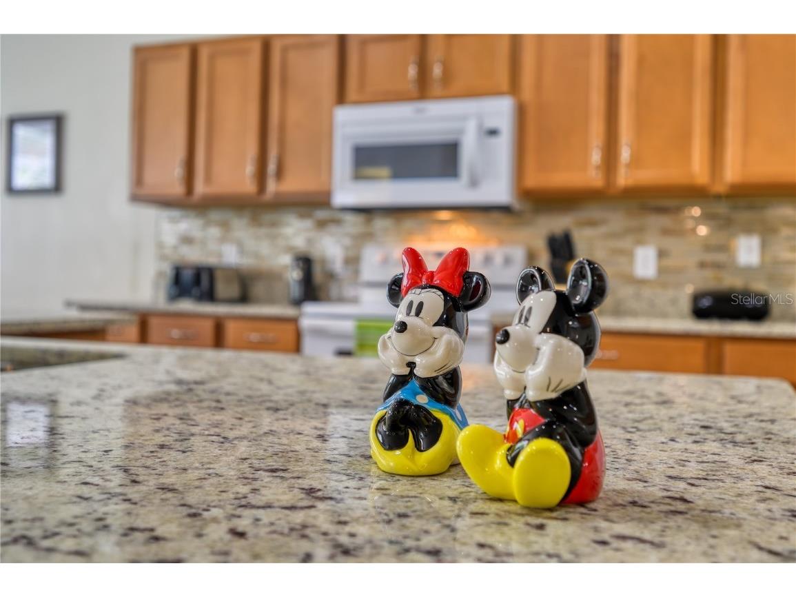 221 Las Fuentes Drive Kissimmee FL 34746 O6249325 image16