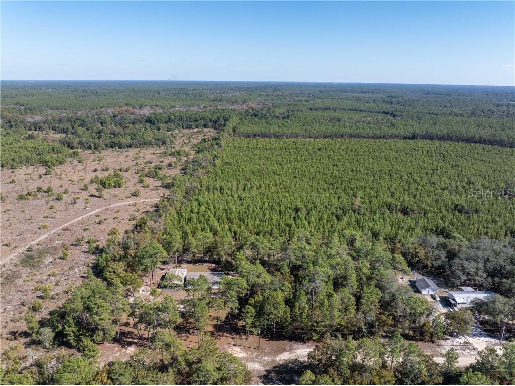 221 Magnolia Road Hawthorne FL 32640 GC526644 image32