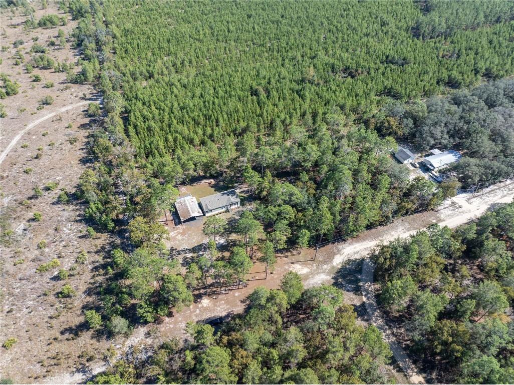 221 Magnolia Road Hawthorne FL 32640 GC526644 image35