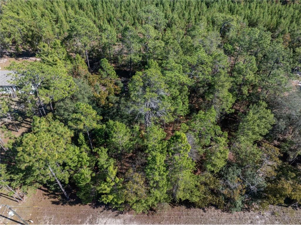 221 Magnolia Road Hawthorne FL 32640 GC526644 image36