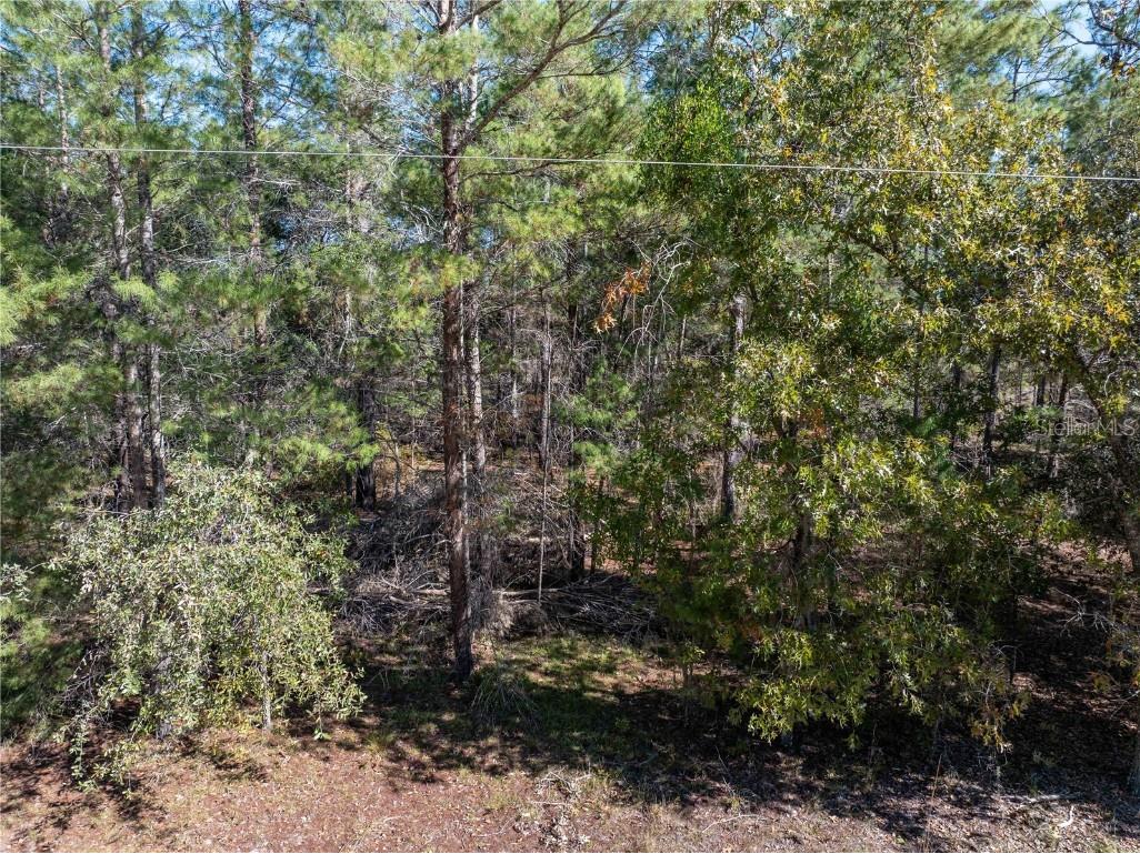 221 Magnolia Road Hawthorne FL 32640 GC526644 image37