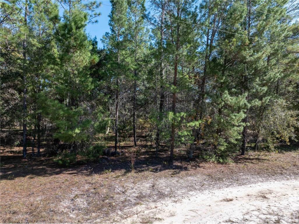 221 Magnolia Road Hawthorne FL 32640 GC526644 image38