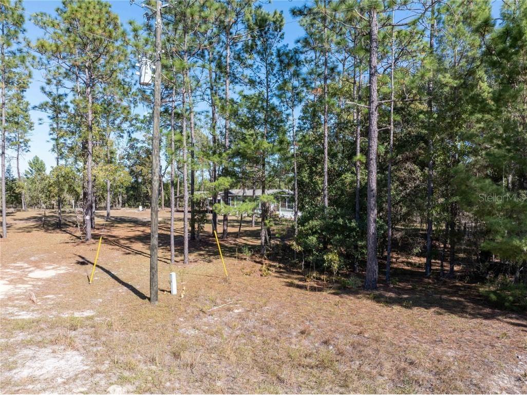 221 Magnolia Road Hawthorne FL 32640 GC526644 image39