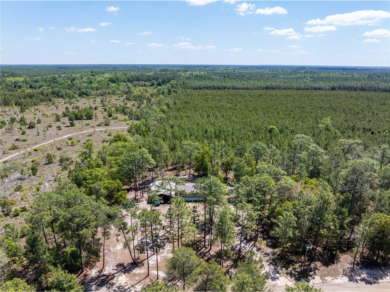 221 Magnolia Road Hawthorne FL 32640 GC539632 image23