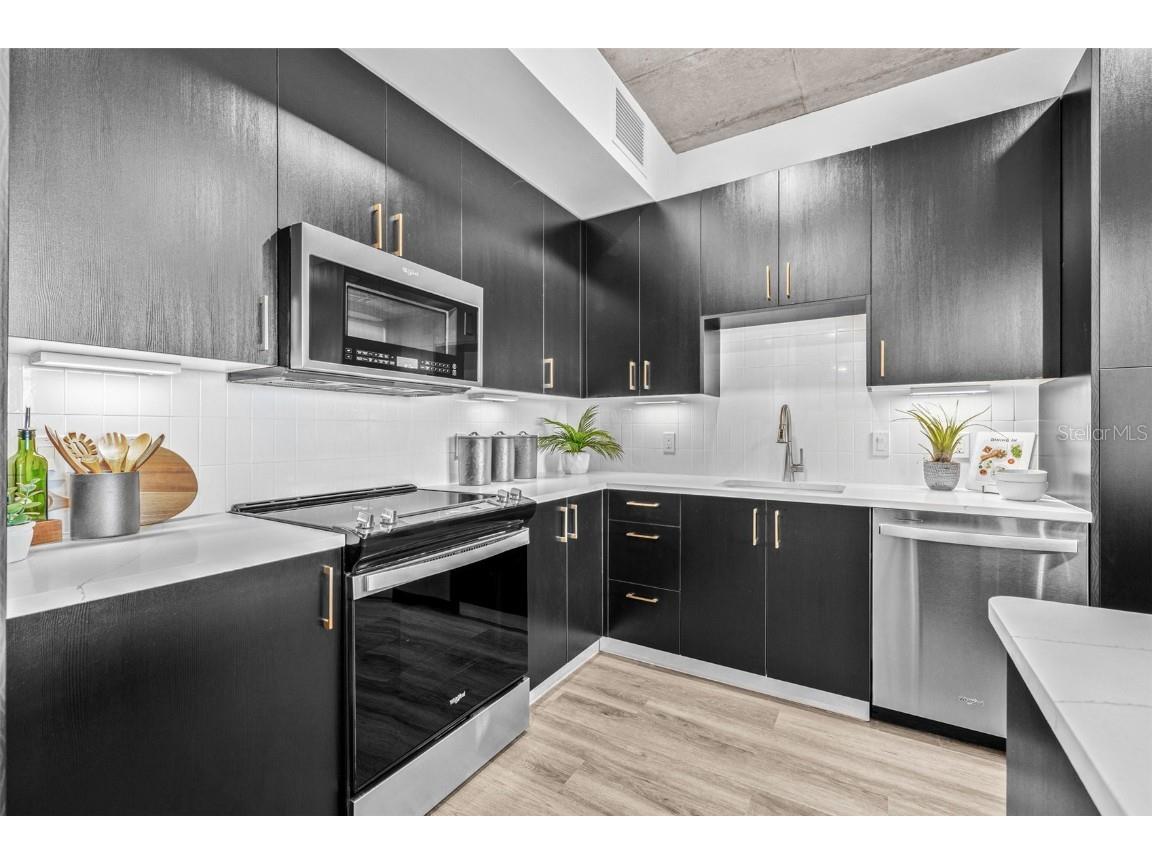 221 Main Street N #1115 Saint Petersburg FL 33716 A4654291 image8