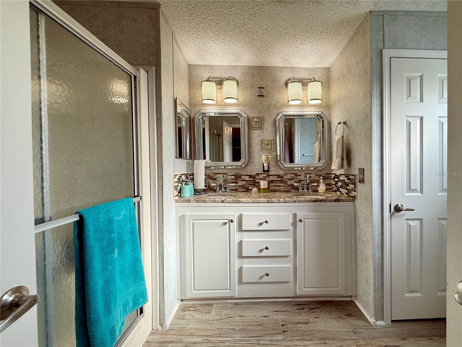 221 N Saint George Circle Apollo Beach FL 33572 TB8460034 image11