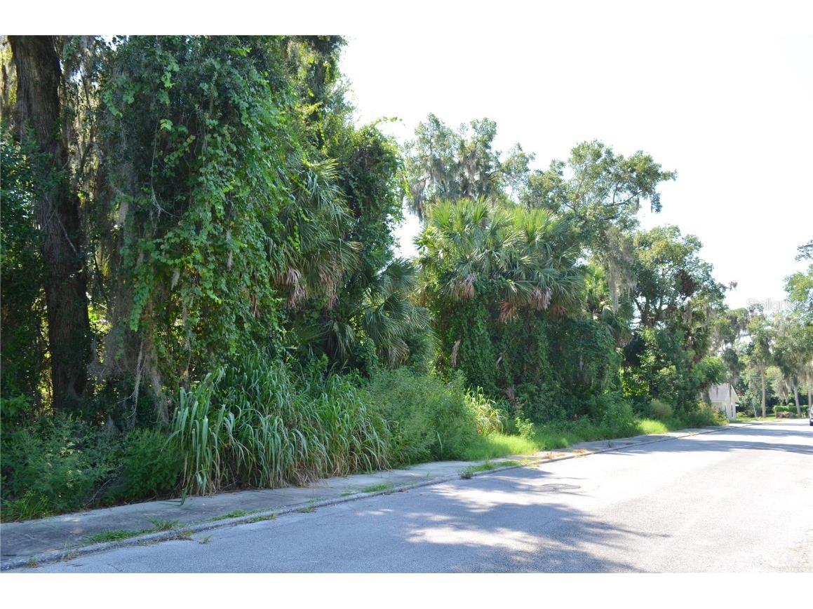 221 S Julia Avenue Deland FL 32720 V4944570 image1