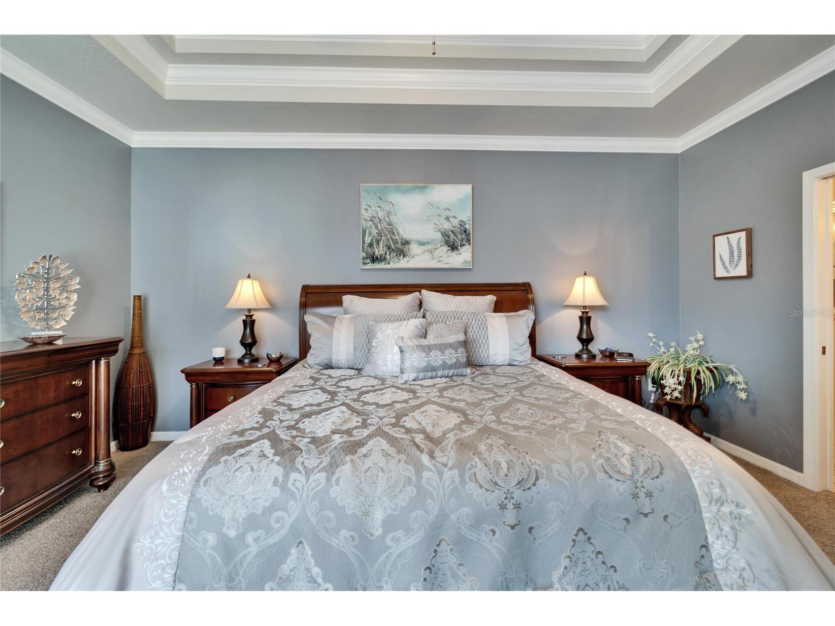 221 Sela Cove Circle Apollo Beach FL 33572 TB8494021 image27