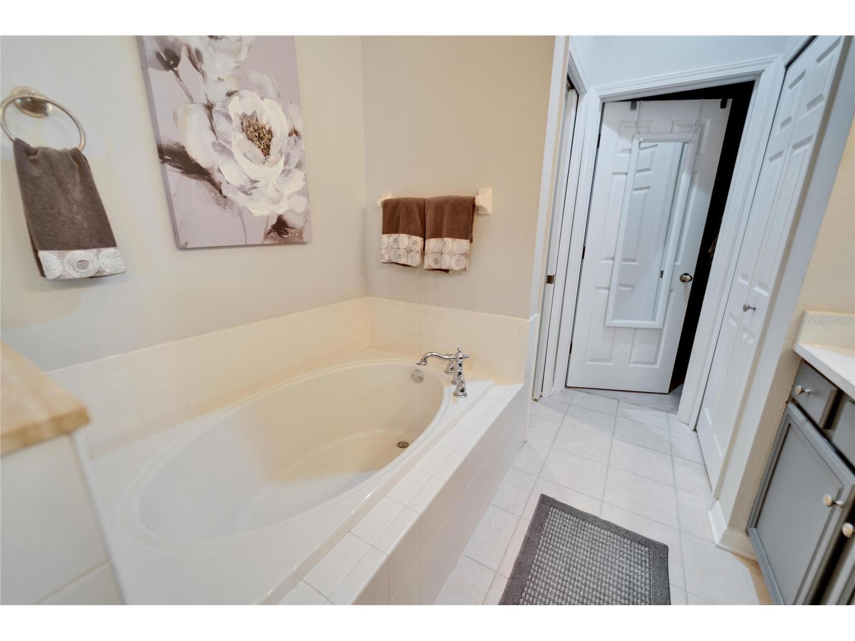 221 Sela Cove Circle Apollo Beach FL 33572 TB8494021 image32