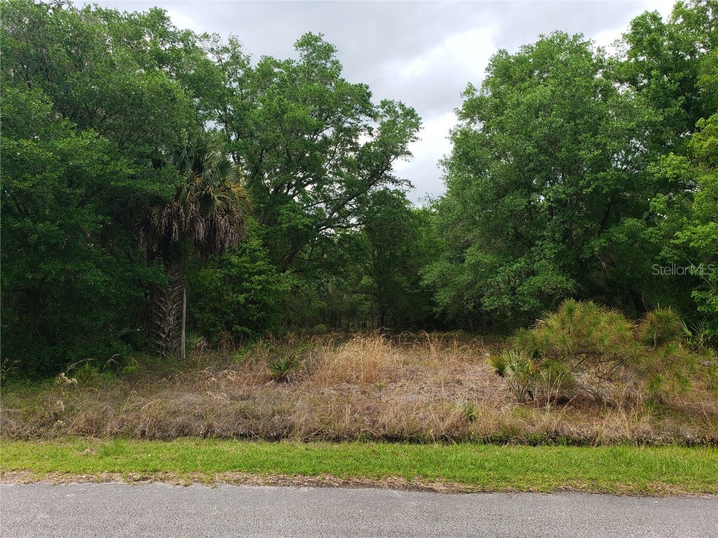 221 Spoonbill Drive Kissimmee FL 34759 S5105356 image1