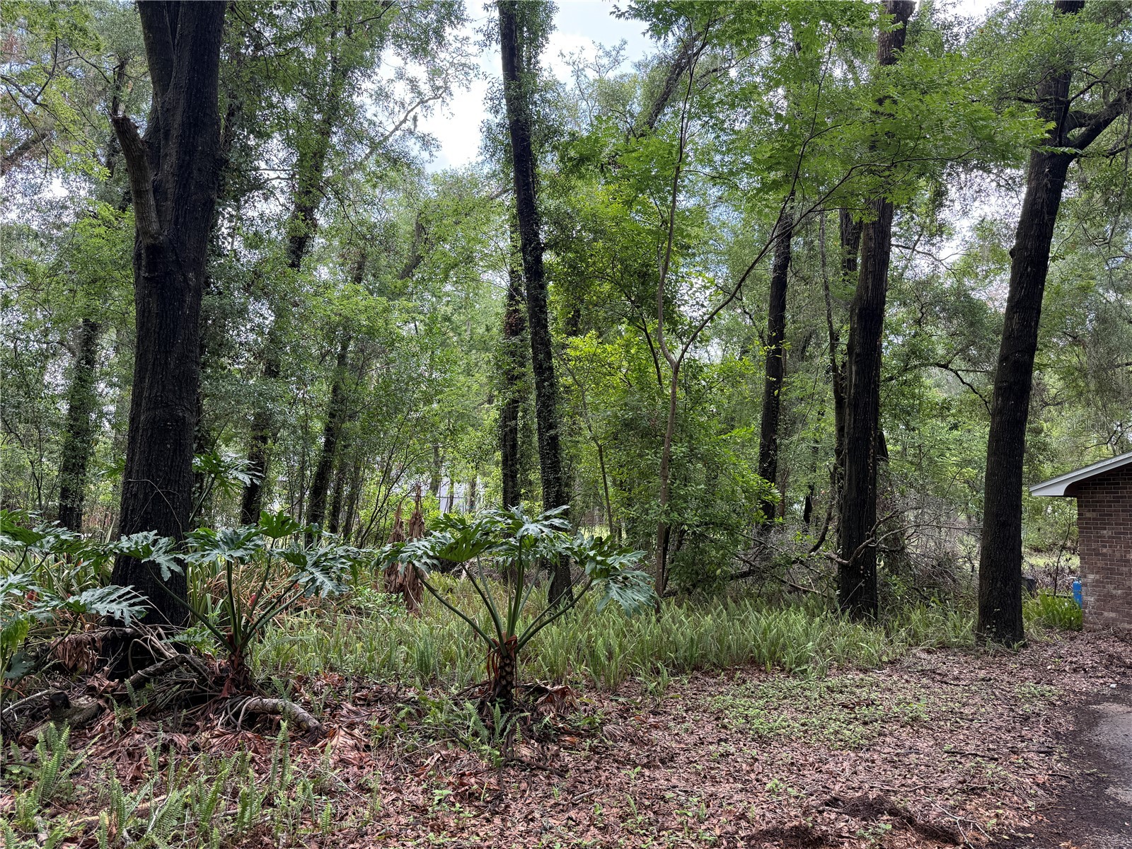 221 SW 138th Terrace Newberry FL 32669 GC540613 image10